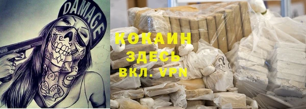 гашик Алзамай