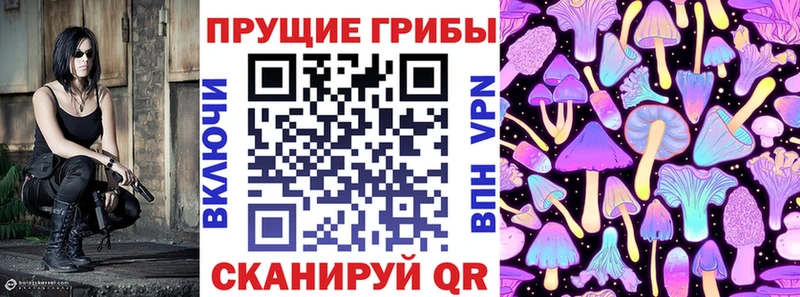 Псилоцибиновые грибы GOLDEN TEACHER  Карачаевск 